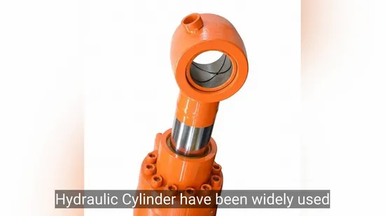 Medium Temperature Alpha-Amylase Cellulase High Enzyme Activity Feed Grade Enzyme Feed Additive Protease Enzyme